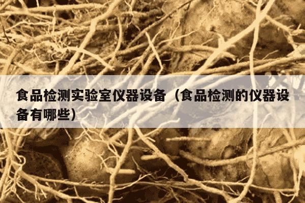 食品检测实验室仪器设备（食品检测的仪器设备有哪些）