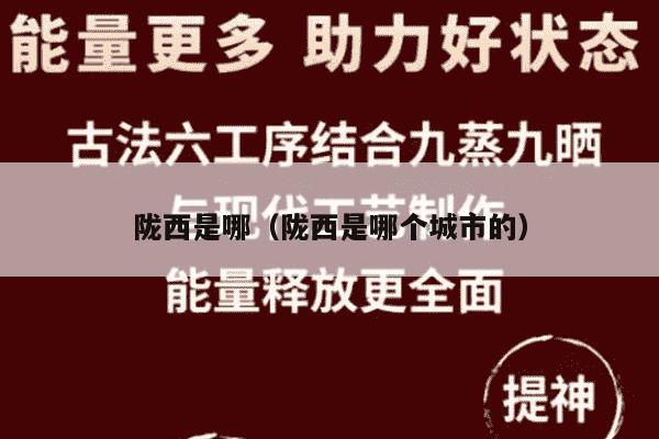 陇西是哪（陇西是哪个城市的）