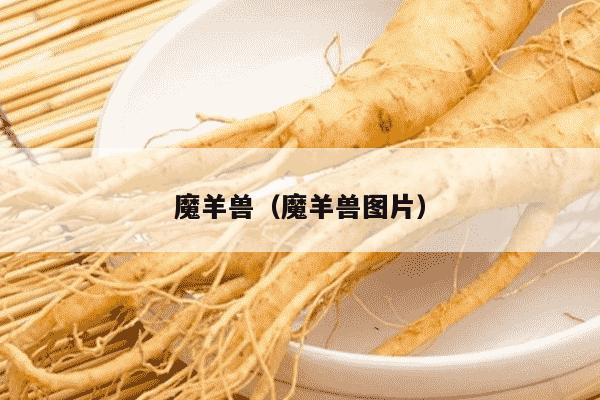 魔羊兽（魔羊兽图片）