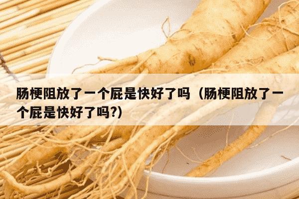 肠梗阻放了一个屁是快好了吗（肠梗阻放了一个屁是快好了吗?）