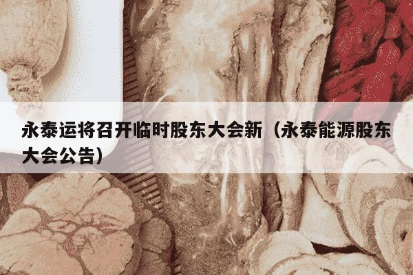 永泰运将召开临时股东大会新（永泰能源股东大会公告）