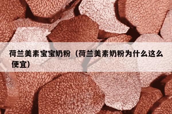 荷兰美素宝宝奶粉（荷兰美素奶粉为什么这么 便宜）