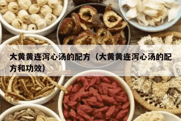 大黄黄连泻心汤的配方（大黄黄连泻心汤的配方和功效）