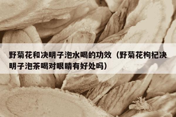 野菊花和决明子泡水喝的功效（野菊花枸杞决明子泡茶喝对眼睛有好处吗）