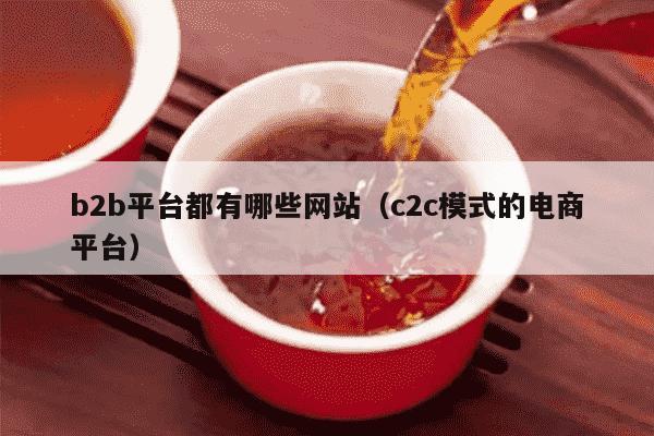 b2b平台都有哪些网站（c2c模式的电商平台）