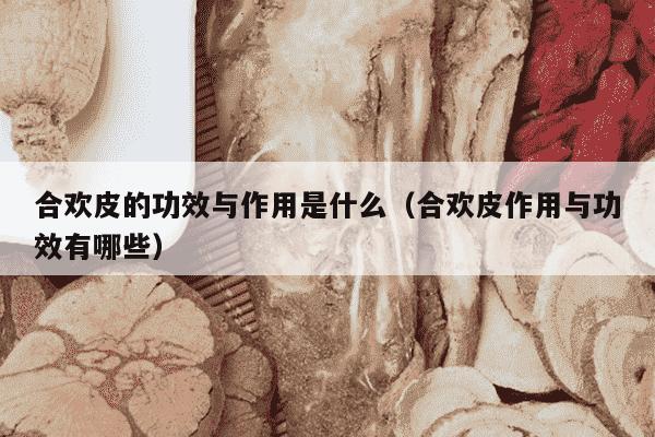 合欢皮的功效与作用是什么（合欢皮作用与功效有哪些）
