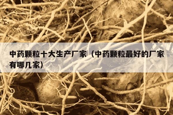 中药颗粒十大生产厂家（中药颗粒最好的厂家有哪几家）