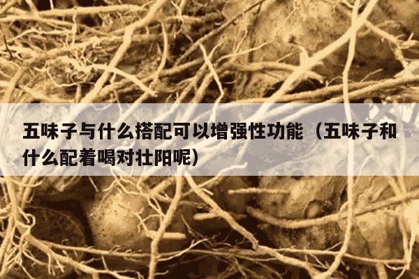 五味子与什么搭配可以增强性功能（五味子和什么配着喝对壮阳呢）