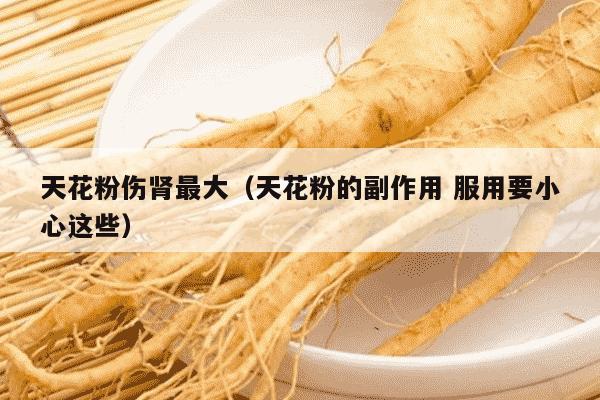天花粉伤肾最大（天花粉的副作用 服用要小心这些）
