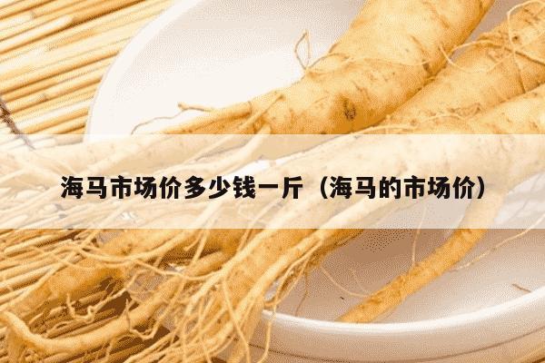 海马市场价多少钱一斤（海马的市场价）