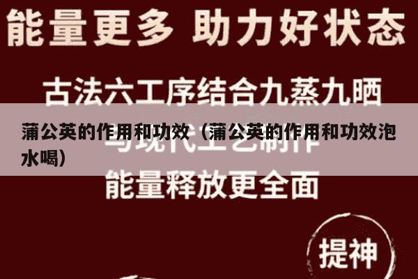 蒲公英的作用和功效（蒲公英的作用和功效泡水喝）