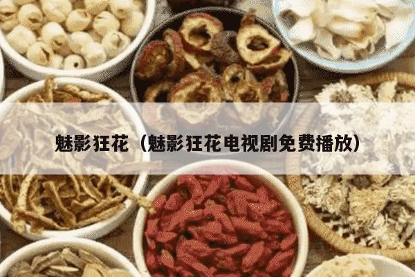 魅影狂花（魅影狂花电视剧免费播放）