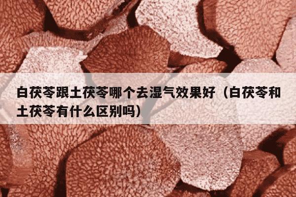 白茯苓跟土茯苓哪个去湿气效果好（白茯苓和土茯苓有什么区别吗）