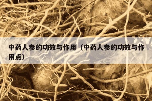 中药人参的功效与作用（中药人参的功效与作用点）