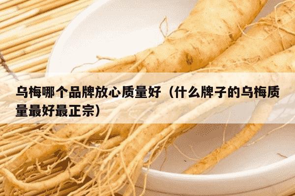 乌梅哪个品牌放心质量好（什么牌子的乌梅质量最好最正宗）