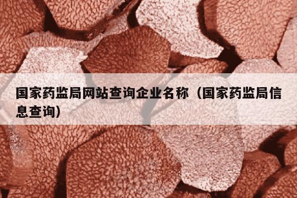 国家药监局网站查询企业名称（国家药监局信息查询）