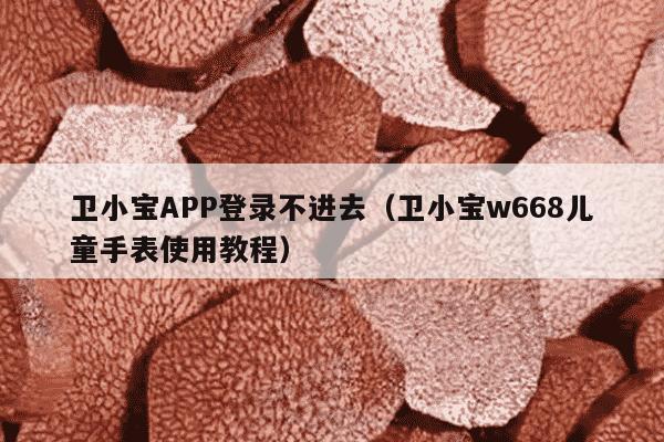 卫小宝APP登录不进去（卫小宝w668儿童手表使用教程）