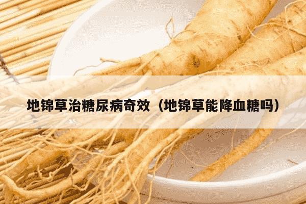 地锦草治糖尿病奇效（地锦草能降血糖吗）