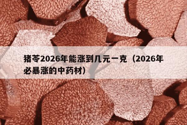 猪苓2026年能涨到几元一克（2026年必暴涨的中药材）