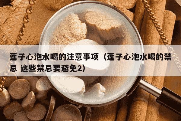 莲子心泡水喝的注意事项（莲子心泡水喝的禁忌 这些禁忌要避免2）