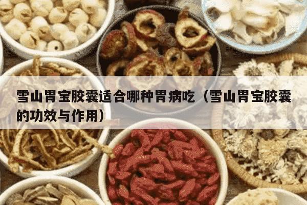 雪山胃宝胶囊适合哪种胃病吃（雪山胃宝胶囊的功效与作用）