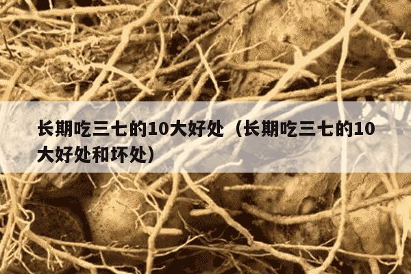 长期吃三七的10大好处（长期吃三七的10大好处和坏处）
