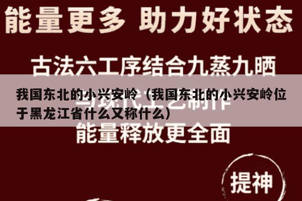 我国东北的小兴安岭（我国东北的小兴安岭位于黑龙江省什么又称什么）