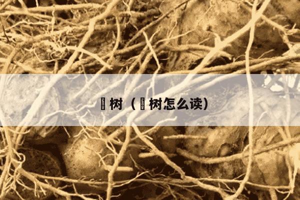 梣树（梣树怎么读）