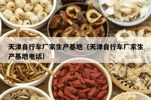 天津自行车厂家生产基地（天津自行车厂家生产基地电话）