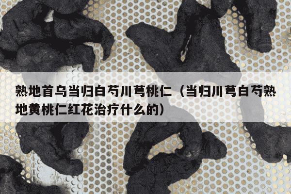熟地首乌当归白芍川芎桃仁（当归川芎白芍熟地黄桃仁红花治疗什么的）