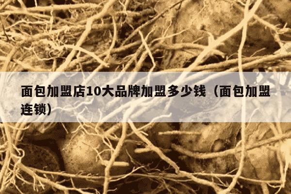 面包加盟店10大品牌加盟多少钱（面包加盟连锁）