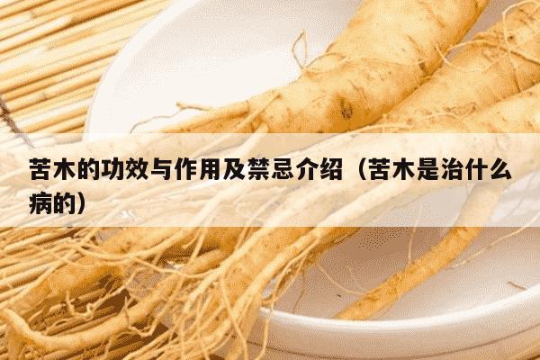 苦木的功效与作用及禁忌介绍（苦木是治什么病的）