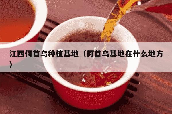 江西何首乌种植基地（何首乌基地在什么地方）