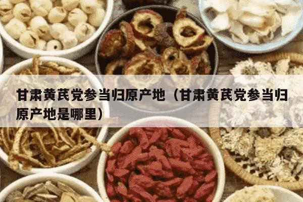 甘肃黄芪党参当归原产地（甘肃黄芪党参当归原产地是哪里）