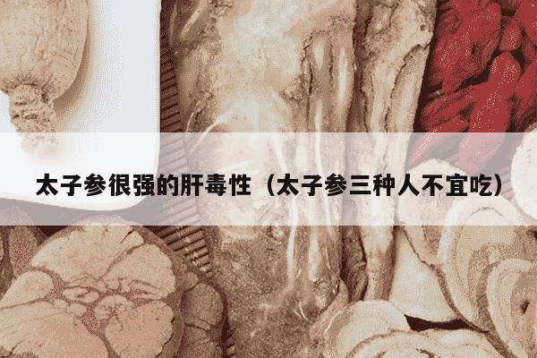 太子参很强的肝毒性（太子参三种人不宜吃）