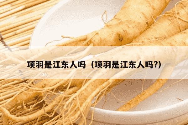 项羽是江东人吗（项羽是江东人吗?）