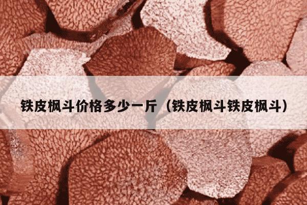 铁皮枫斗价格多少一斤（铁皮枫斗铁皮枫斗）