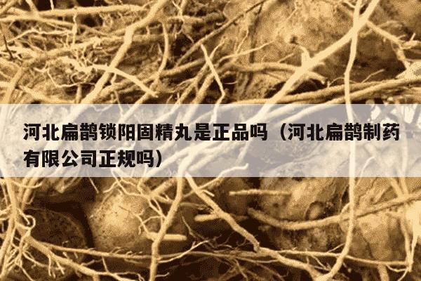 河北扁鹊锁阳固精丸是正品吗（河北扁鹊制药有限公司正规吗）