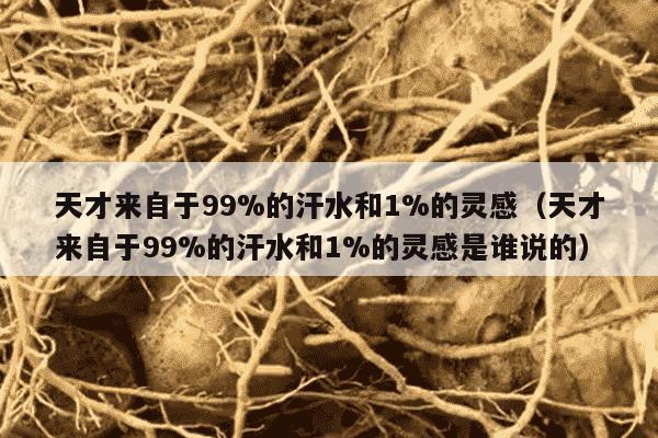 天才来自于99%的汗水和1%的灵感（天才来自于99%的汗水和1%的灵感是谁说的）