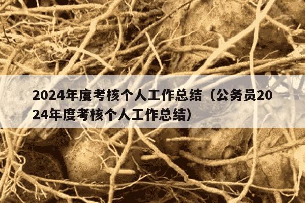 2024年度考核个人工作总结（公务员2024年度考核个人工作总结）