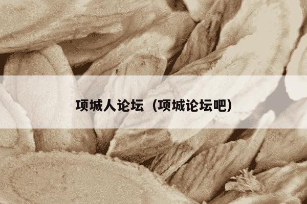 项城人论坛（项城论坛吧）