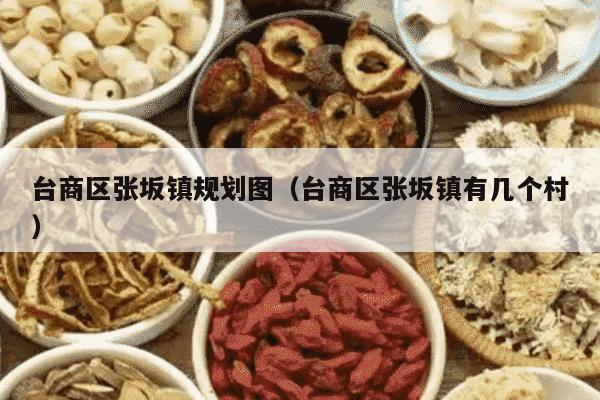 台商区张坂镇规划图（台商区张坂镇有几个村）