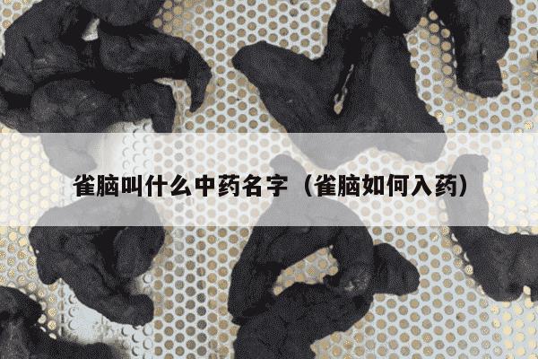 雀脑叫什么中药名字（雀脑如何入药）