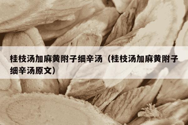 桂枝汤加麻黄附子细辛汤（桂枝汤加麻黄附子细辛汤原文）