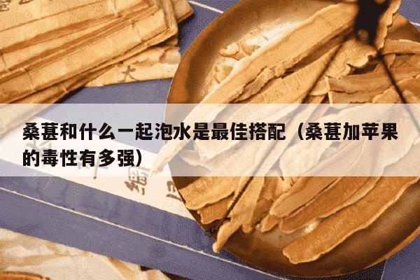 桑葚和什么一起泡水是最佳搭配（桑葚加苹果的毒性有多强）