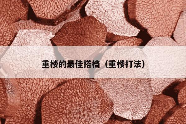重楼的最佳搭档（重楼打法）