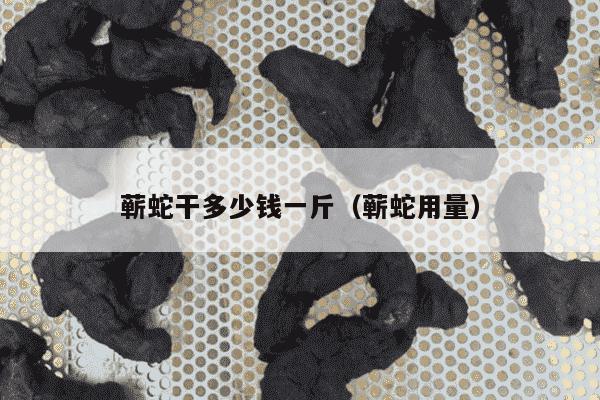 蕲蛇干多少钱一斤（蕲蛇用量）