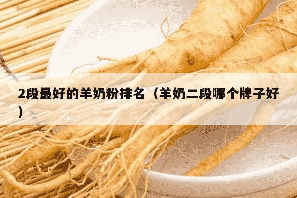 2段最好的羊奶粉排名（羊奶二段哪个牌子好）