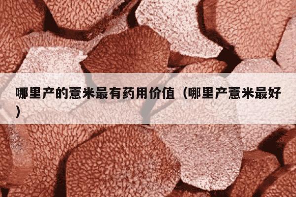 哪里产的薏米最有药用价值（哪里产薏米最好）