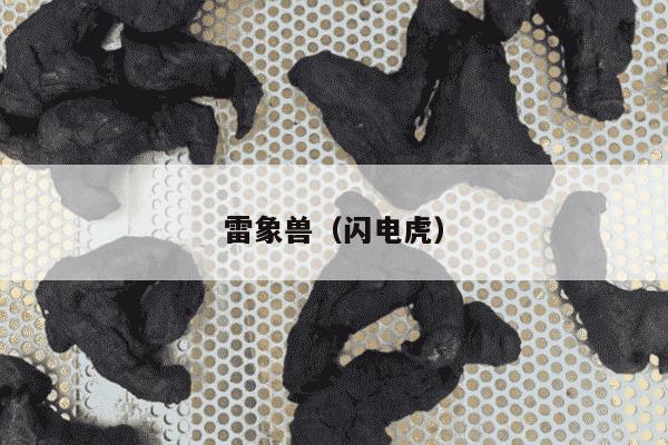 雷象兽（闪电虎）
